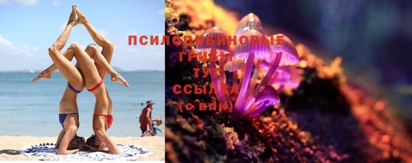 крисы Алексеевка